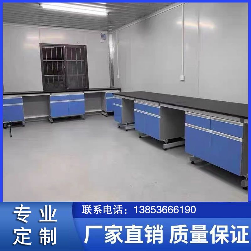 山東鋼木實(shí)驗(yàn)臺 化驗(yàn)室工作臺 通風(fēng)柜定制
